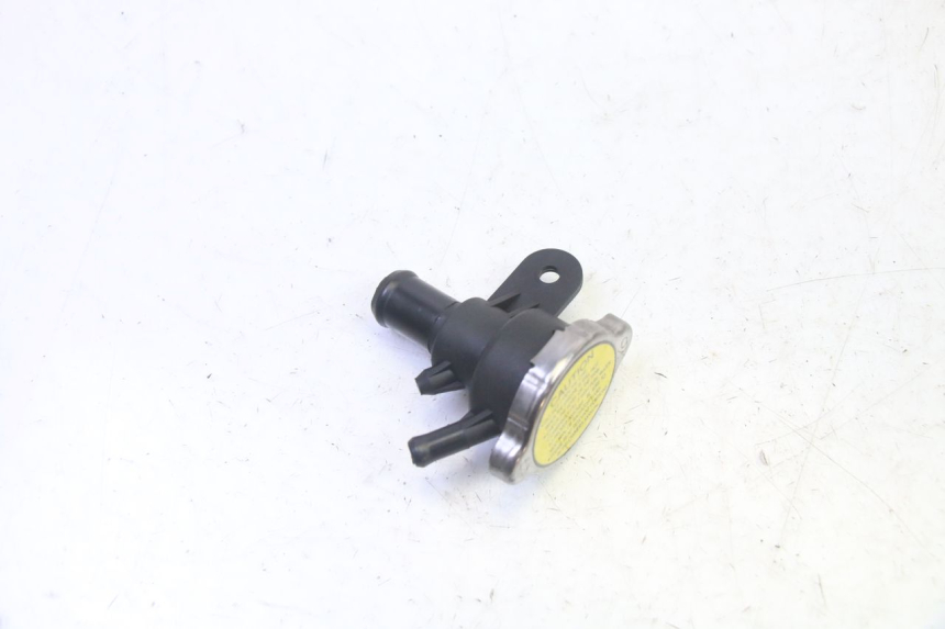photo de TAPON DE RADIADOR QUADRO 4 4D 350 (2015 - 2018)