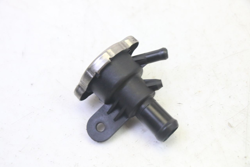 photo de TAPON DE RADIADOR QUADRO 4 4D 350 (2015 - 2018)