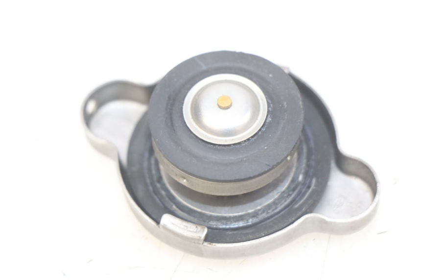 photo de TAPA DEL RADIADOR APRILIA SCARABEO LIGHT 125 (2007 - 2011)