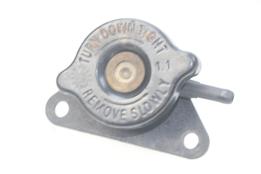 photo de TAPA DEL RADIADOR SUZUKI BURGMAN 125 (2007 - 2014)