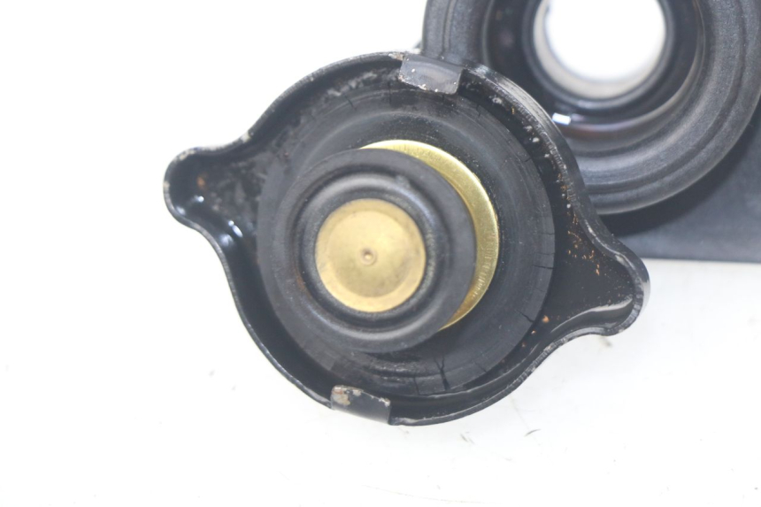 photo de TAPA DEL RADIADOR SUZUKI BURGMAN 125 (2007 - 2014)