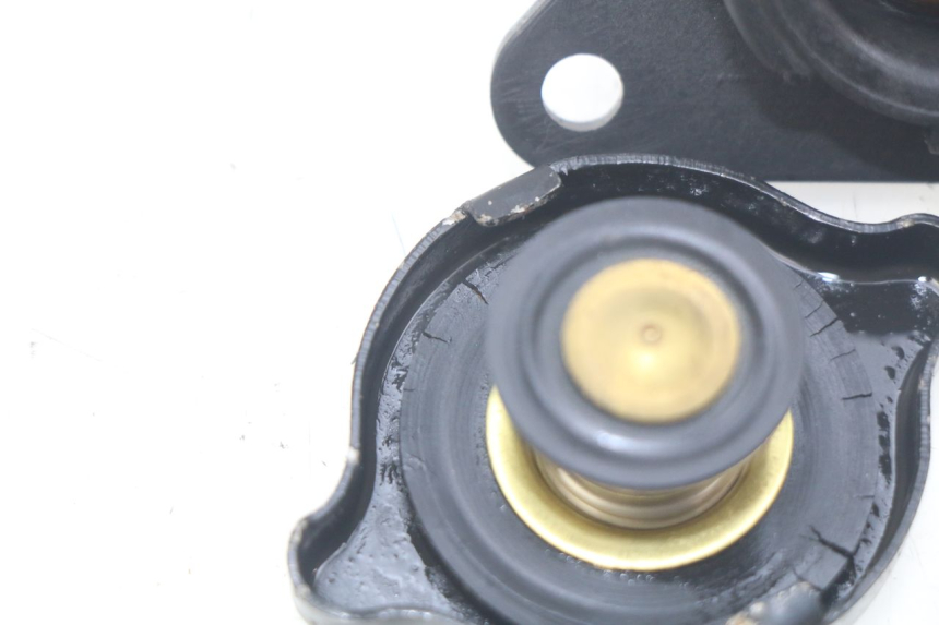 photo de TAPA DEL RADIADOR SUZUKI BURGMAN 125 (2007 - 2014)