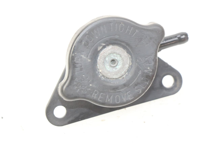 photo de TAPA DEL RADIADOR SUZUKI BURGMAN 125 (2007 - 2014)