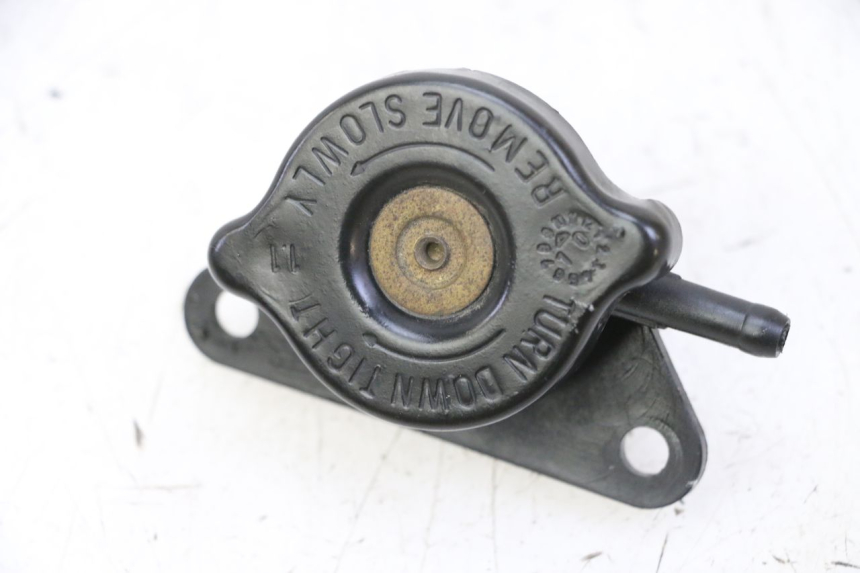 photo de TAPA DEL RADIADOR SUZUKI BURGMAN 125 (2007 - 2014)