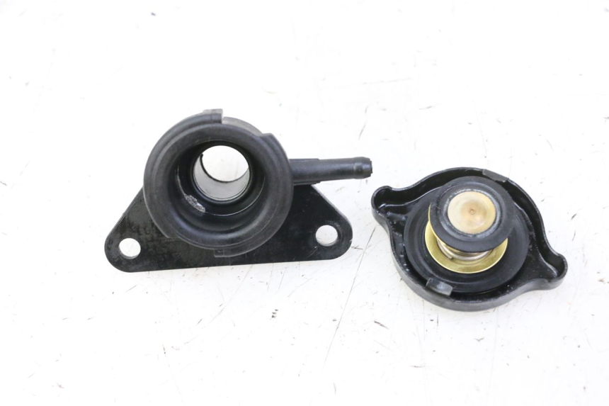 photo de TAPA DEL RADIADOR SUZUKI BURGMAN 125 (2007 - 2014)