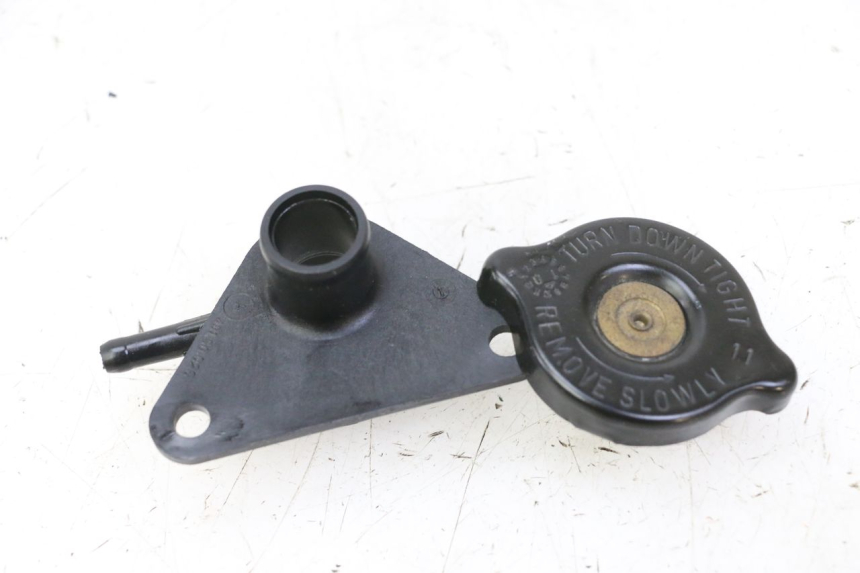 photo de TAPA DEL RADIADOR SUZUKI BURGMAN 125 (2007 - 2014)