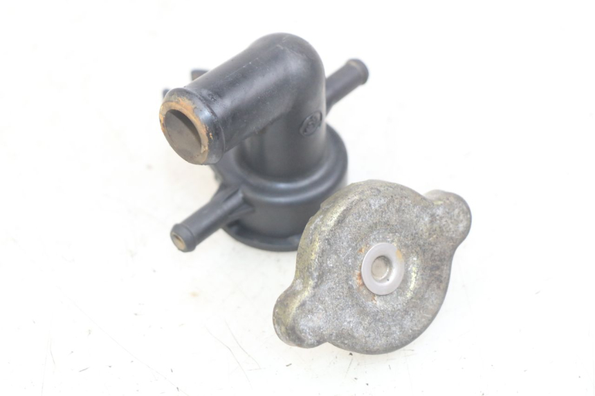 photo de TAPA DEL RADIADOR HONDA FES PANTHEON 2T 125 (1998 - 2002)