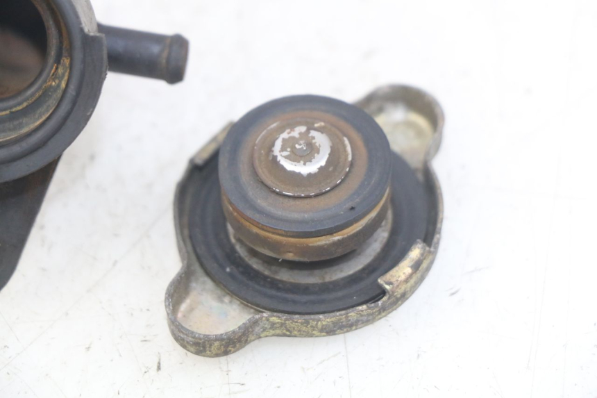 photo de TAPA DEL RADIADOR HONDA FES PANTHEON 2T 125 (1998 - 2002)