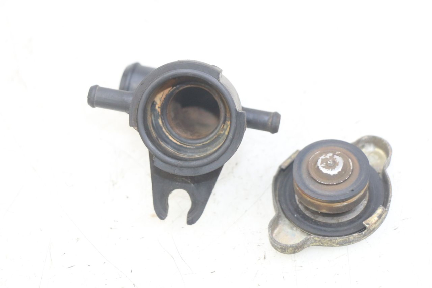 photo de TAPA DEL RADIADOR HONDA FES PANTHEON 2T 125 (1998 - 2002)