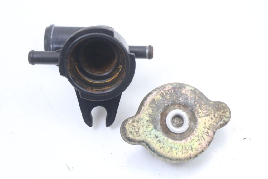 photo de TAPA DEL RADIADOR HONDA FES PANTHEON 2T 125 (1998 - 2002)