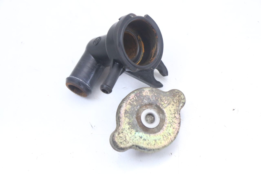 photo de TAPA DEL RADIADOR HONDA FES PANTHEON 2T 125 (1998 - 2002)