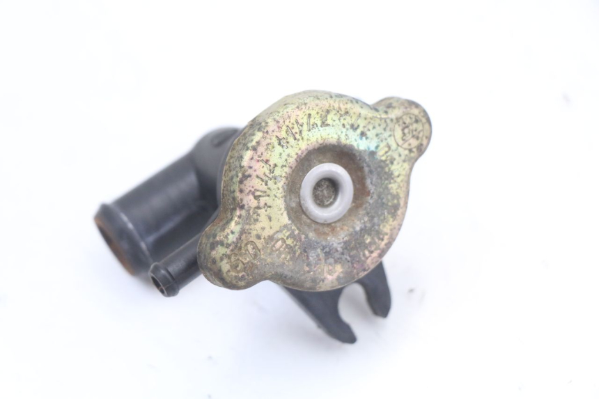 photo de TAPA DEL RADIADOR HONDA FES PANTHEON 2T 125 (1998 - 2002)