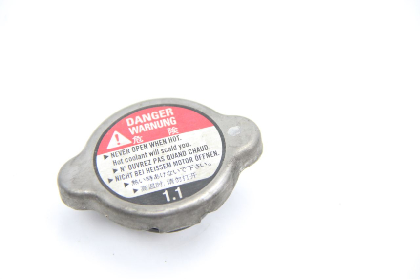photo de TAPA DEL RADIADOR HONDA FES PANTHEON 125 (2003 - 2007)