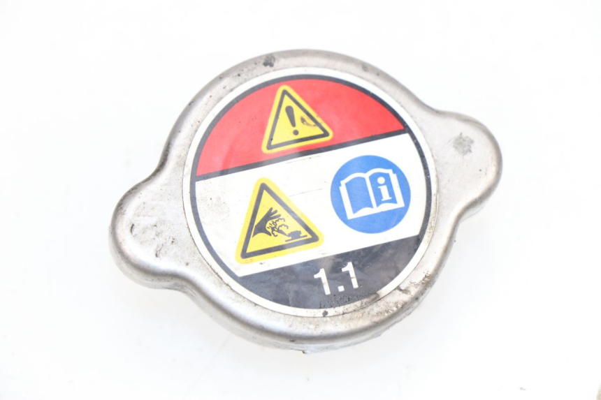photo de TAPA DEL RADIADOR HONDA FES S-WING SWING ABS 125 (2007 - 2015)