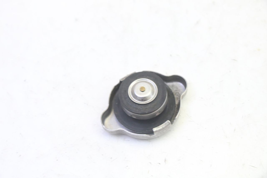 photo de TAPA DEL RADIADOR HONDA FES S-WING SWING ABS 125 (2007 - 2015)