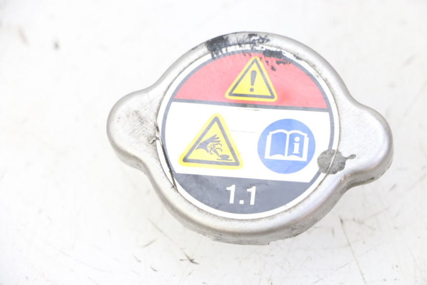 photo de TAPA DEL RADIADOR HONDA FES S-WING SWING ABS 125 (2007 - 2015)