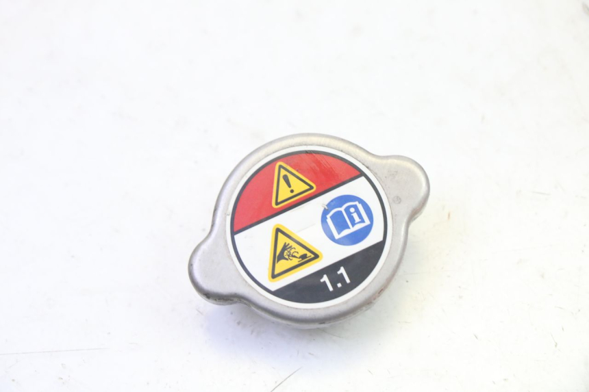 photo de TAPA DEL RADIADOR HONDA FES S-WING SWING ABS 125 (2007 - 2015)