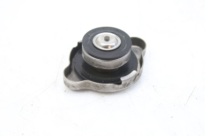 photo de TAPA DEL RADIADOR HONDA FES S-WING SWING ABS 125 (2007 - 2015)