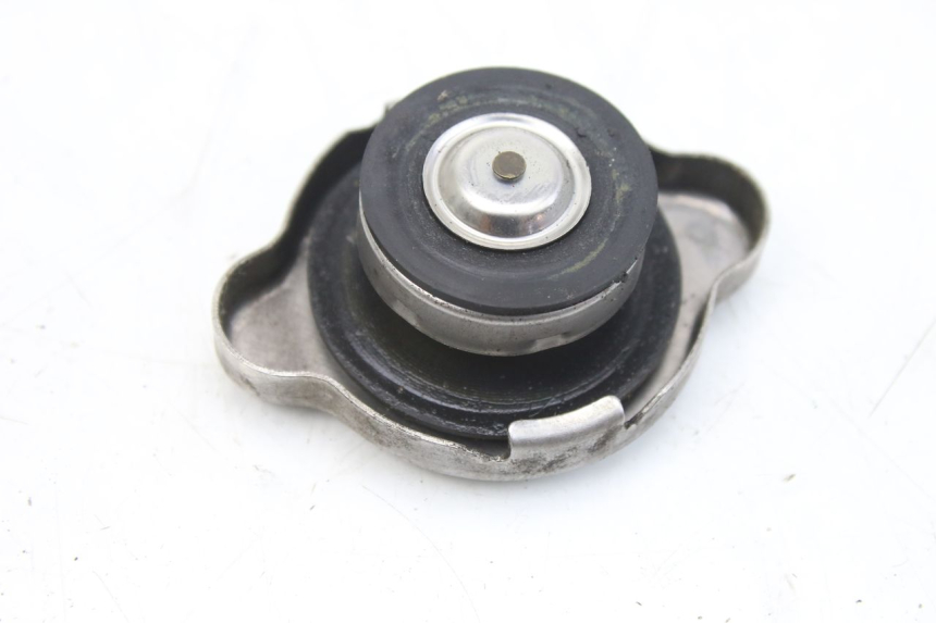 photo de TAPA DEL RADIADOR HONDA FES S-WING SWING ABS 125 (2007 - 2015)