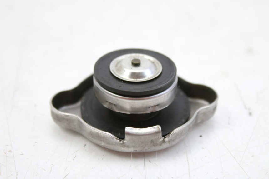 photo de TAPA DEL RADIADOR HONDA FES S-WING SWING ABS 125 (2007 - 2015)