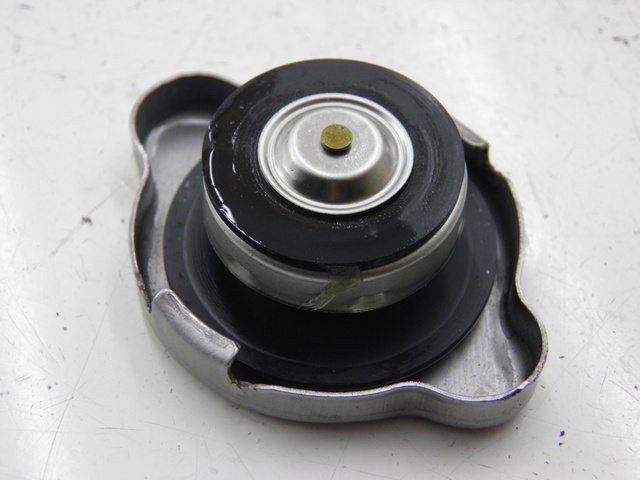 photo de TAPA DEL RADIADOR HONDA FES S-WING SWING ABS 125 (2007 - 2015)