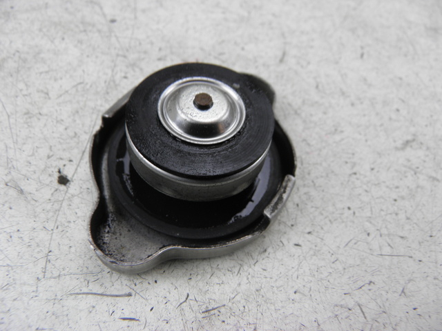 photo de TAPA DEL RADIADOR HONDA FES S-WING SWING ABS 125 (2007 - 2015)