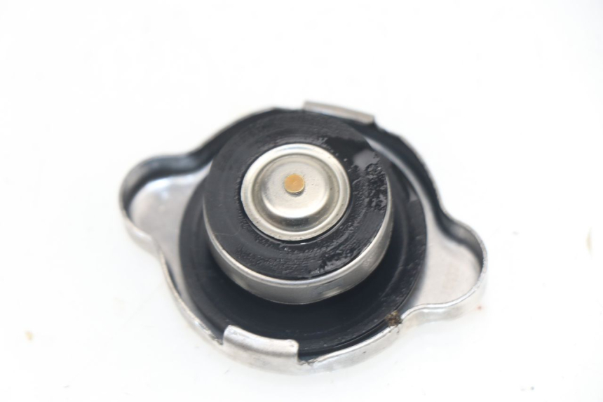 photo de TAPA DEL RADIADOR HONDA PCX (JF28) 125 (2009 - 2011)