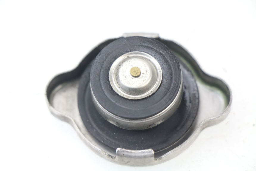 photo de TAPA DEL RADIADOR HONDA PCX (JF28) 125 (2009 - 2011)