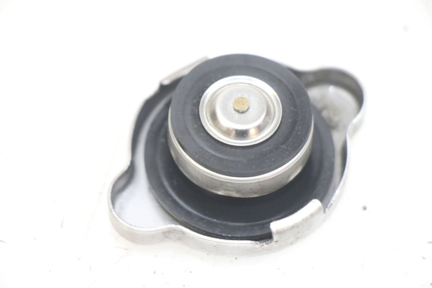 photo de TAPA DEL RADIADOR HONDA PCX (JF28) 125 (2009 - 2011)