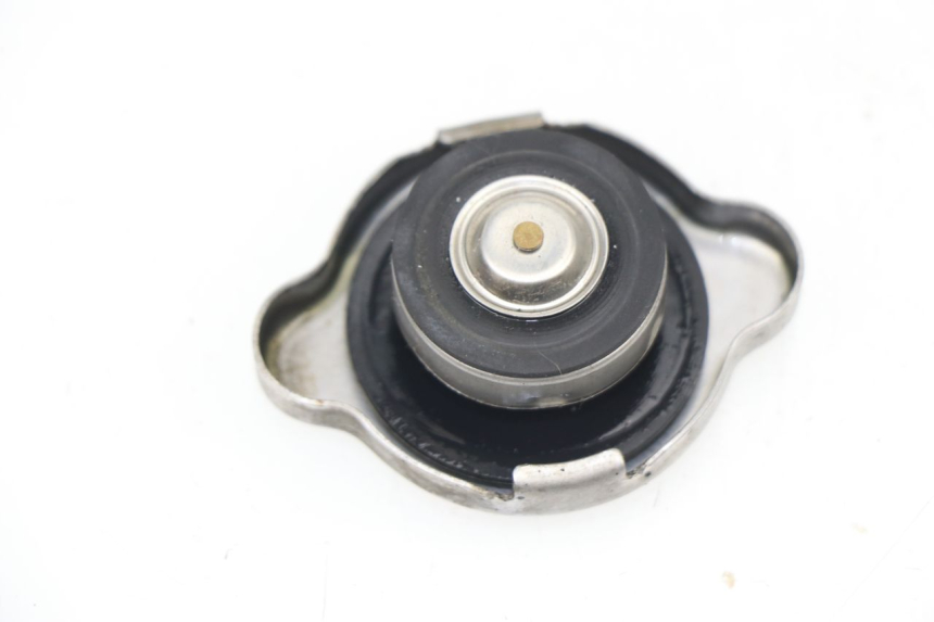 photo de TAPA DEL RADIADOR HONDA PCX (JF28) 125 (2009 - 2011)