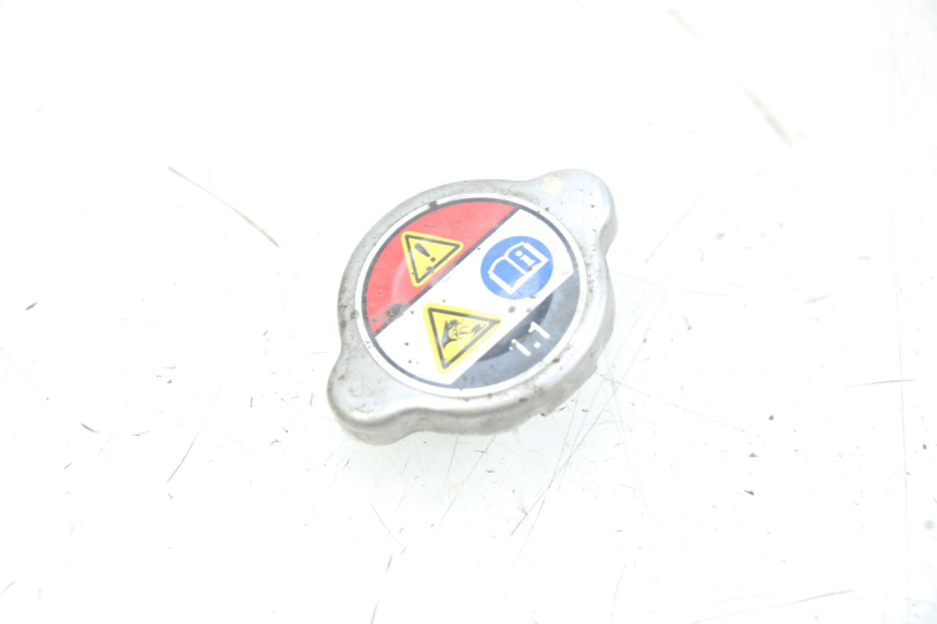photo de TAPA DEL RADIADOR HONDA PCX (JF47) 125 (2012 - 2013)