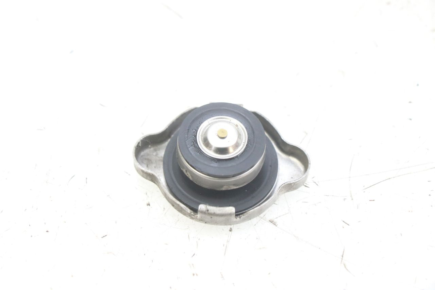 photo de TAPA DEL RADIADOR HONDA PCX (JF47) 125 (2012 - 2013)