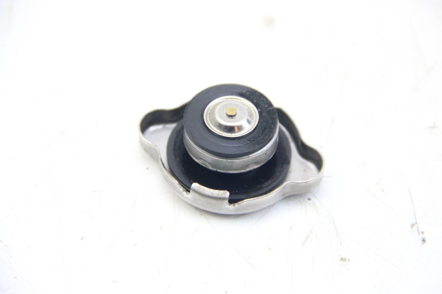 photo de TAPA DEL RADIADOR YAMAHA HW XENTER 125 (2011 - 2017)