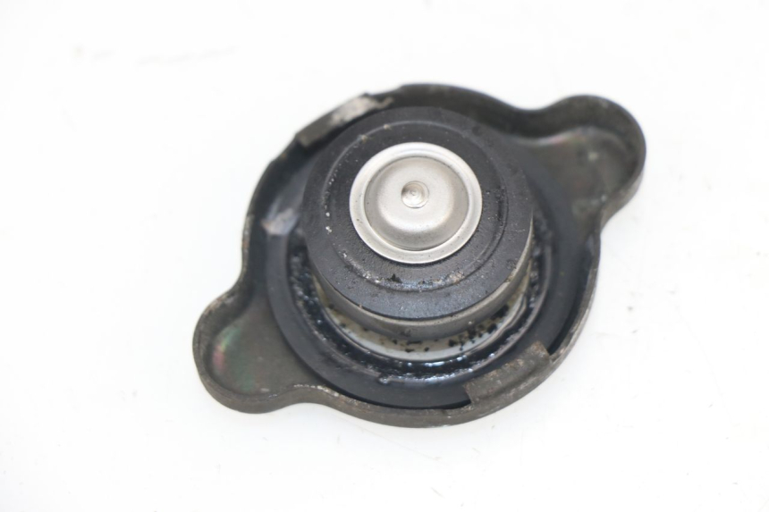 photo de TAPA DEL RADIADOR KAWASAKI Z S 750 (2003 - 2006)