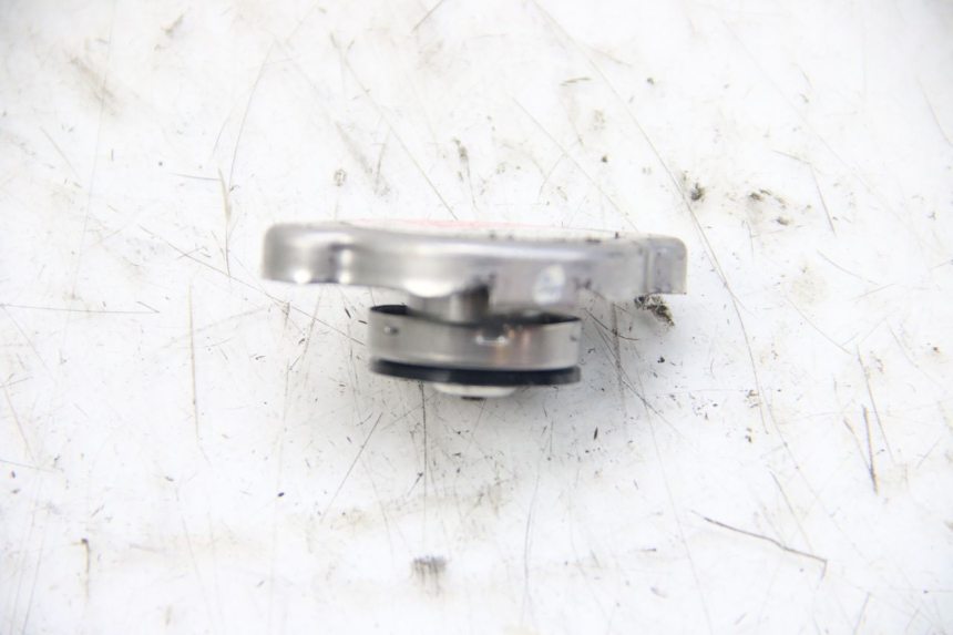 photo de TAPA DEL RADIADOR HONDA PES PS I 125 (2006 - 2012)