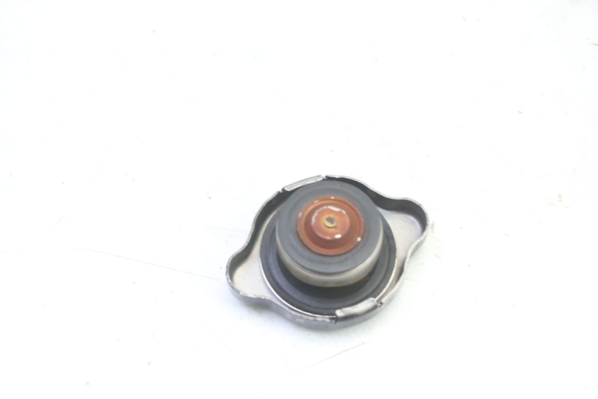 photo de TAPON RADIADOR TRIUMPH SPRINT 900 (1995 - 1998)