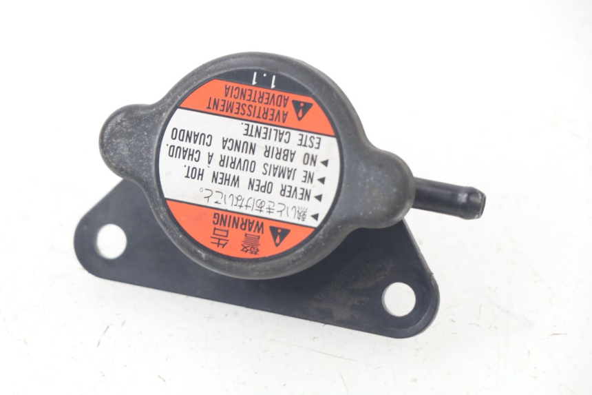 photo de TAPA DEL RADIADOR SUZUKI AN BURGMAN 400 (2006 - 2010)