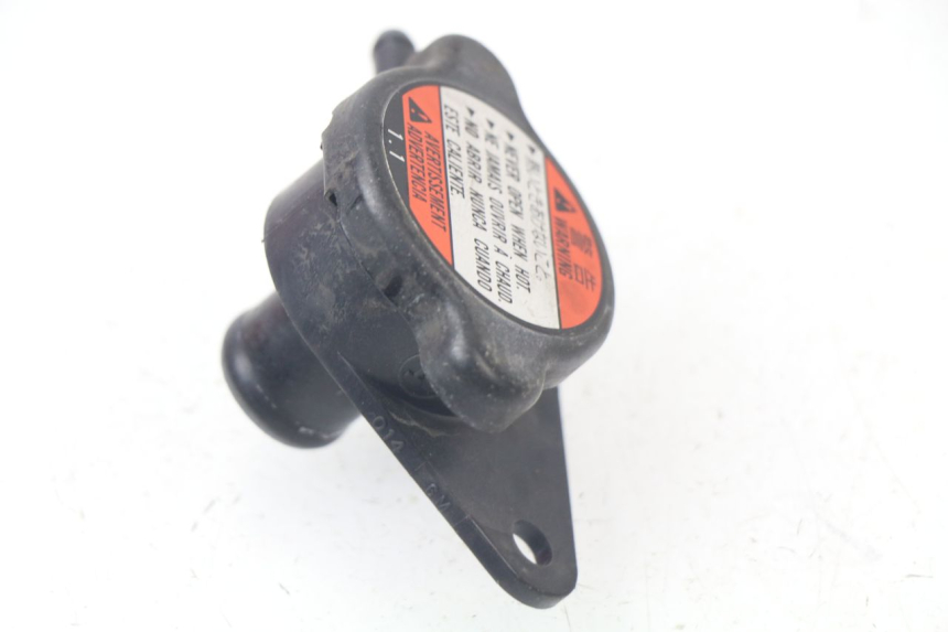 photo de TAPA DEL RADIADOR SUZUKI AN BURGMAN 400 (2006 - 2010)