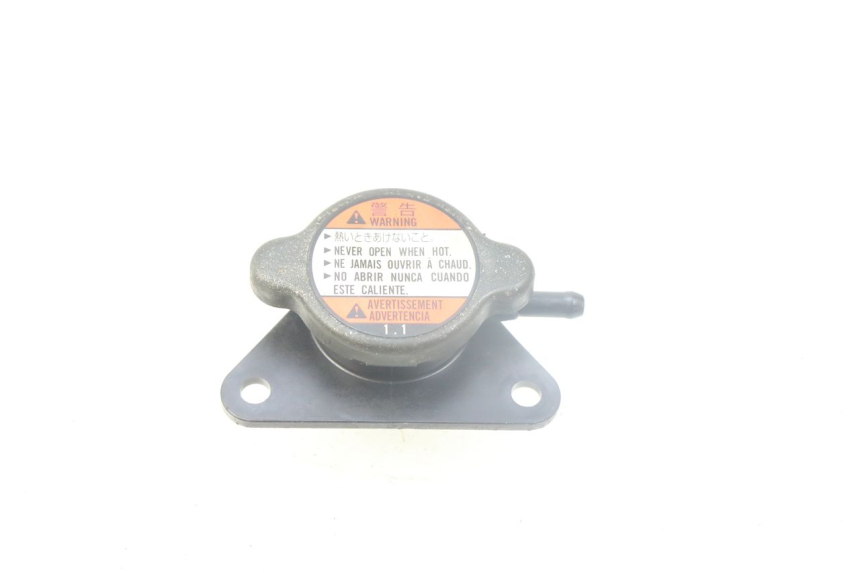 photo de TAPA DEL RADIADOR SUZUKI AN BURGMAN 400 (2006 - 2010)