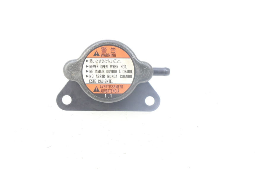 photo de TAPA DEL RADIADOR SUZUKI AN BURGMAN 400 (2006 - 2010)
