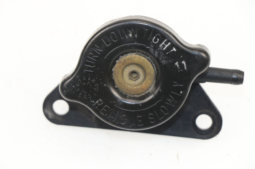 photo de TAPA DEL RADIADOR SUZUKI BURGMAN 125 (2007 - 2014)