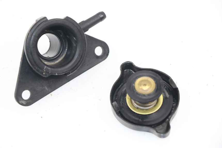 photo de TAPA DEL RADIADOR SUZUKI BURGMAN 125 (2007 - 2014)