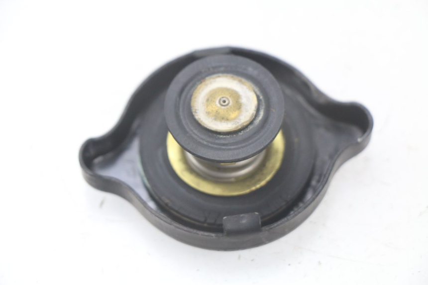 photo de TAPA DEL RADIADOR SUZUKI BURGMAN 125 (2007 - 2014)