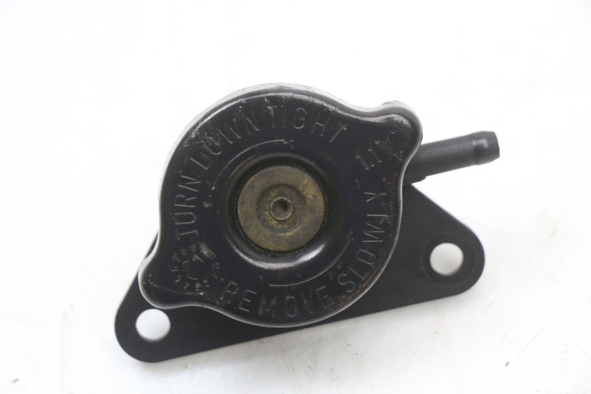 photo de TAPA DEL RADIADOR SUZUKI BURGMAN 125 (2007 - 2014)