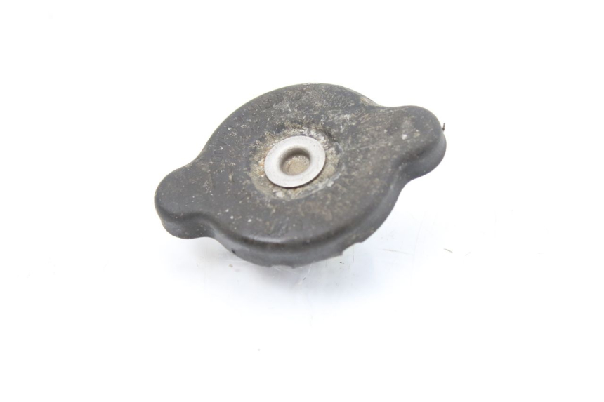 photo de TAPA DEL RADIADOR SUZUKI TLS TL S 1000 (1997 - 2001)