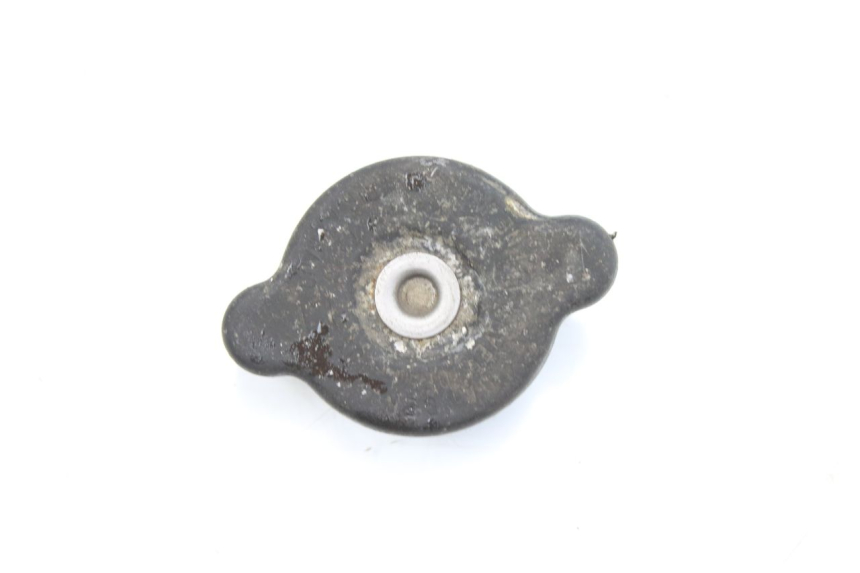 photo de TAPA DEL RADIADOR SUZUKI TLS TL S 1000 (1997 - 2001)