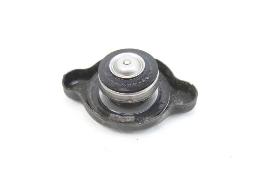 photo de TAPA DEL RADIADOR SUZUKI TLS TL S 1000 (1997 - 2001)