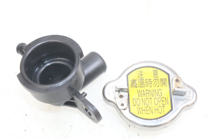 photo de TAPA DEL RADIADOR SYM GTS EFI 125 (2012 - 2016)