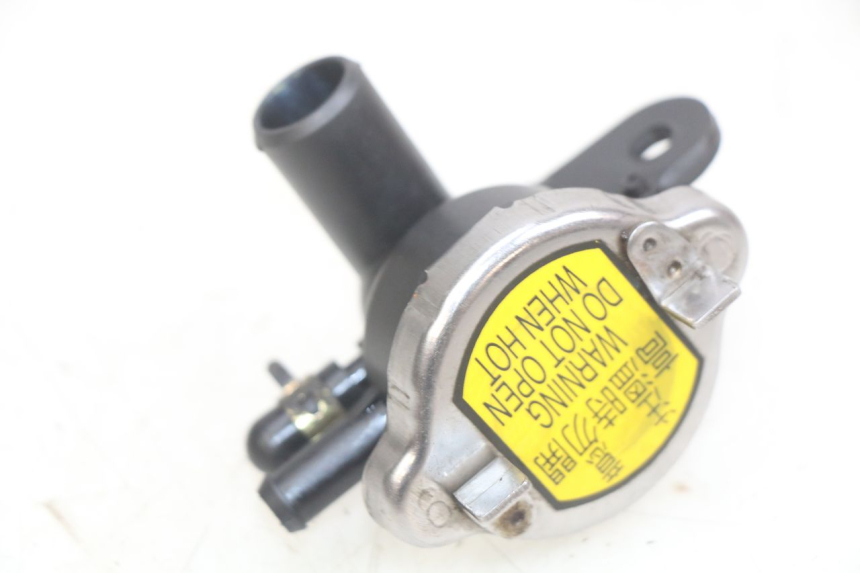 photo de TAPA DEL RADIADOR SYM GTS EFI 125 (2012 - 2016)