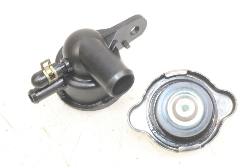 photo de TAPA DEL RADIADOR SYM GTS EFI 125 (2012 - 2016)